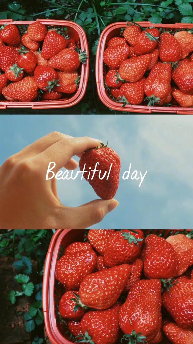 JackeyLove新星精彩发挥表现惊艳，MAD未来可期！的简单介绍